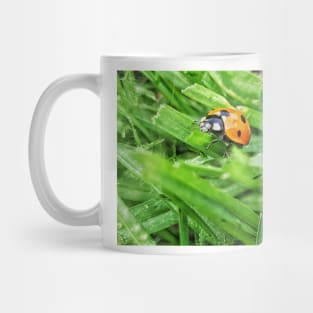 Ladybug travels Mug